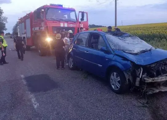 На Житомирщині легковик зʼїхав у кювет та перекинувся
