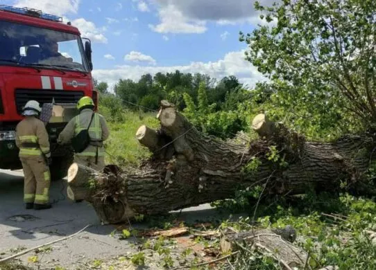 Через сильний вітер без світла залишилися 36 населених пунктів на Житомирщині
