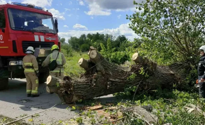 Через сильний вітер без світла залишилися 36 населених пунктів на Житомирщині