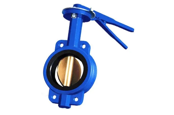 Задвижка Баттерфляй