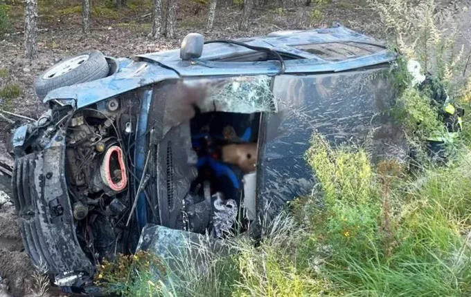 На Житомирщині перекинулося авто - водій загинув