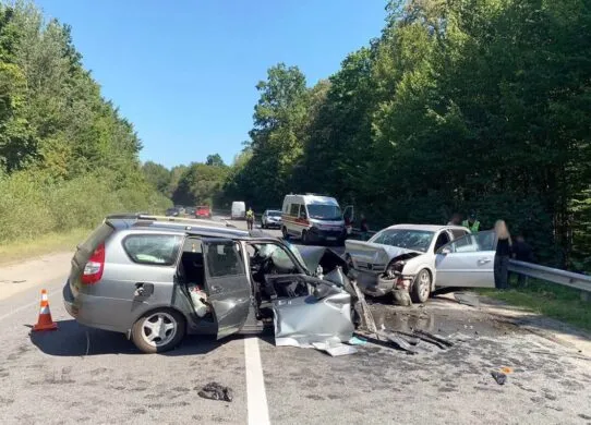 Поліція шукає свідків смертельної ДТП, яка сталася на Житомирщині