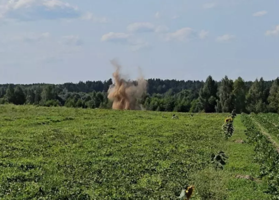 За добу на Житомирщині знешкодили снаряд та касетні боєприпаси