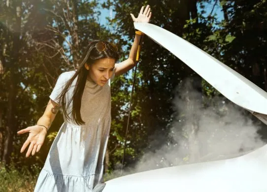 За добу в Житомирі горіли два автомобілі