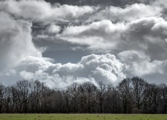 Погода у Житомирі 7 серпня буде з невеликим дощем