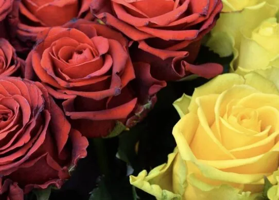 На війні загинув військовослужбовець з Житомира, у якого залишилося двоє дітей