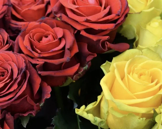 На війні загинув військовослужбовець з Житомира, у якого залишилося двоє дітей