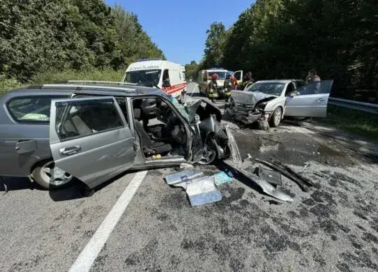 ДТП у Житомирському районі: з понівеченої автівки витягали загиблого