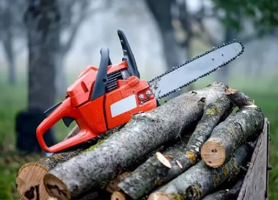 Садовая техника, которая поможет быстро привести сад в порядок