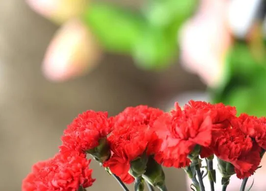 У Житомирі попрощалися з Героєм Романом Кузьміним