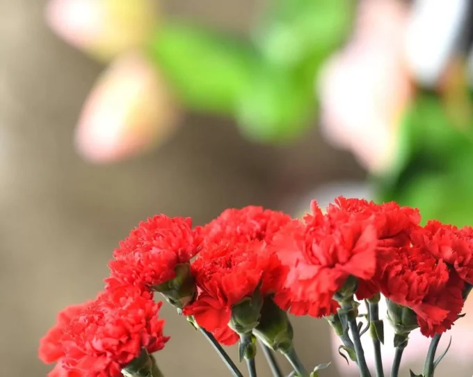 У Житомирі попрощалися з Героєм Романом Кузьміним