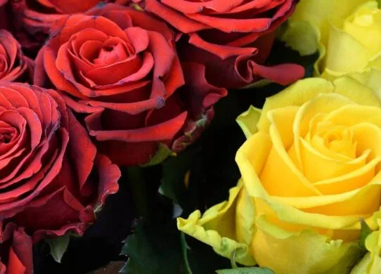 На фронті загинув уродженець Житомирської області Максим Шарварчук