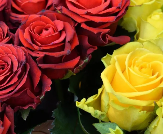 На фронті загинув уродженець Житомирської області Максим Шарварчук