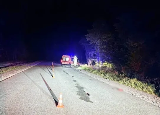 Водійка на Житомирщині збила пішохода насмерть та втекла - через півгодини вона подзвонила до поліції