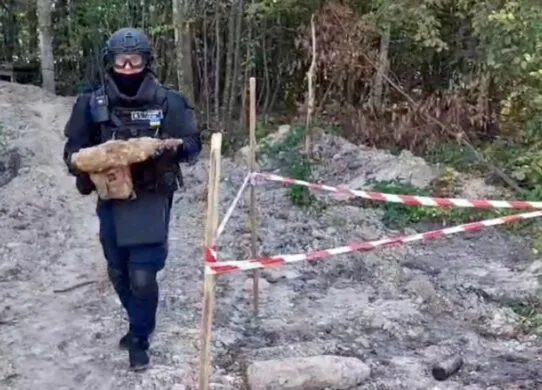 У лісі на Житомирщині виявили 15 снарядів часів Другої світової війни