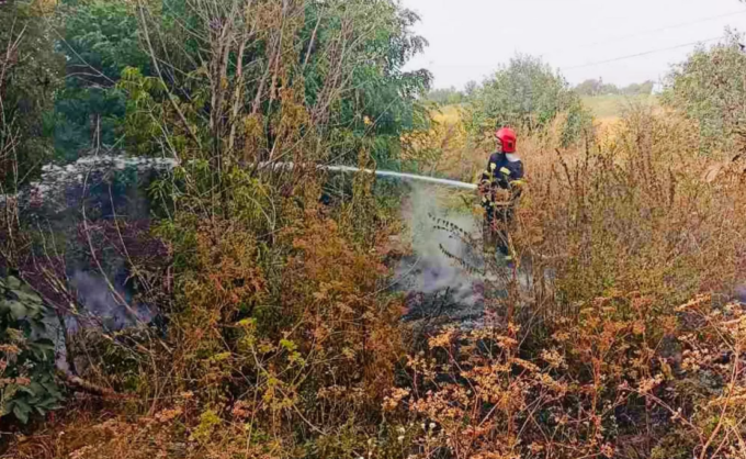На Житомирщині вогонь знищив 1 гектра посівів сої