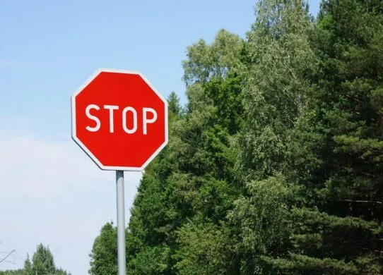 У Житомирі обмежать рух транспорту на Лесі Українки