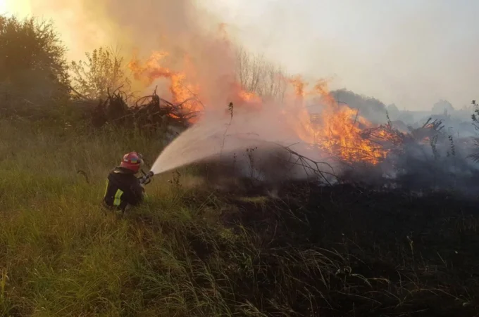 На Житомирщині лютують пожежі на відкритих територіях