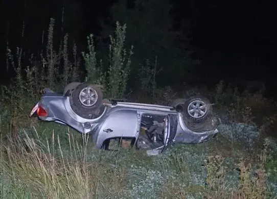 На Житомирщині дикий кабан спричинив страшну ДТП, в якій загинули дві людини