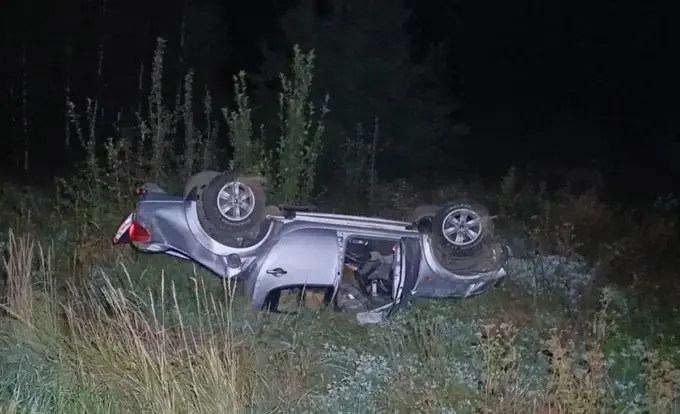 На Житомирщині дикий кабан спричинив страшну ДТП, в якій загинули дві людини