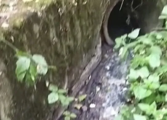 У річку Тетерів на околицях Житомира скидають стоки та забруднюють воду