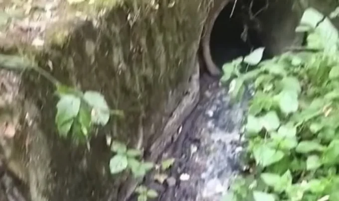 У річку Тетерів на околицях Житомира скидають стоки та забруднюють воду