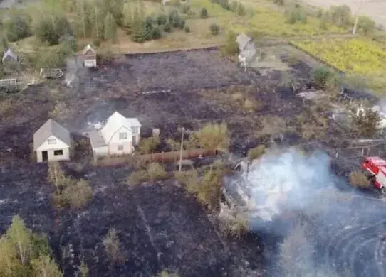На Житомирщині згоріли 11 дачних будинків через пожежу
