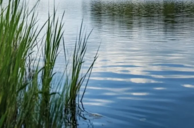 На Житомирщині ледь не потонули діти 2 та 6 років