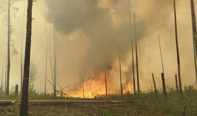 Існує загроза поширення лісових пожеж з Чорнобильської зони на територію Житомирщини