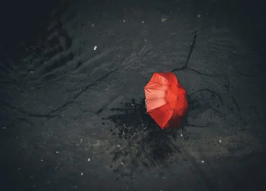 Вихідні у Житомирі пройдуть з дощами - погода на 14-15 вересня