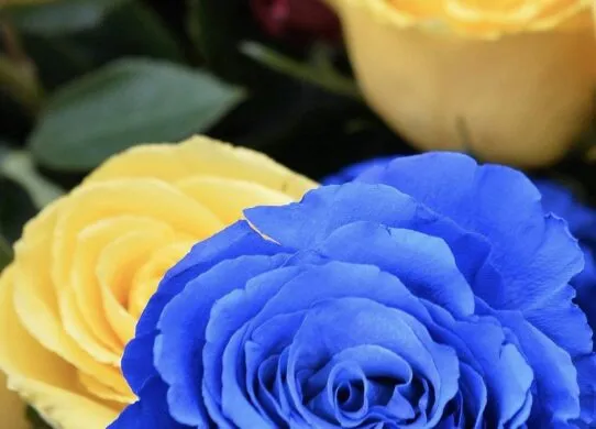 У Житомирі попрощалися з двома Героями