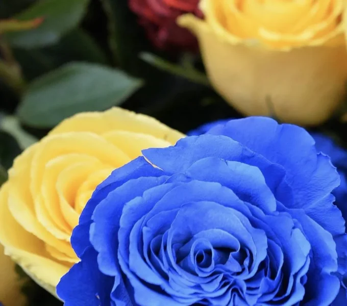 У Житомирі попрощалися з двома Героями