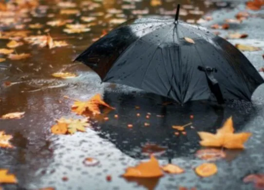 У Житомирі різко похолодає та будуть дощі - прогноз погоди на вихідні