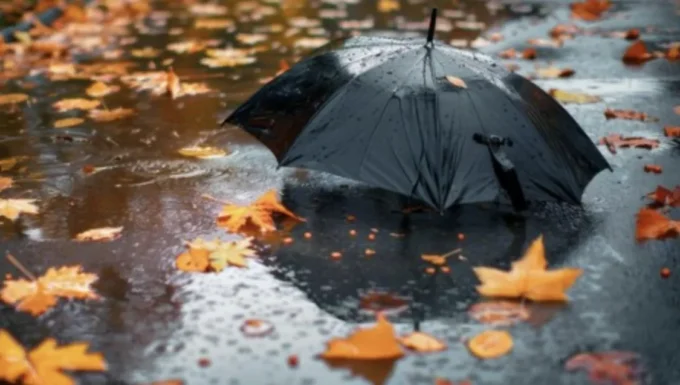 У Житомирі різко похолодає та будуть дощі - прогноз погоди на вихідні