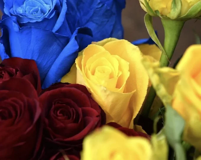 В один день на війні загинули двоє житомирян