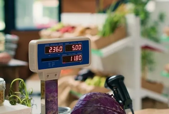 Типы торговых весов: обзор основных видов и их применение