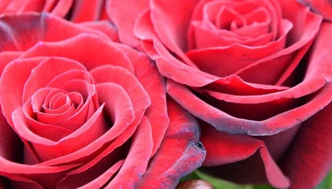 Житомир прощається із Героями, які загинули на війні