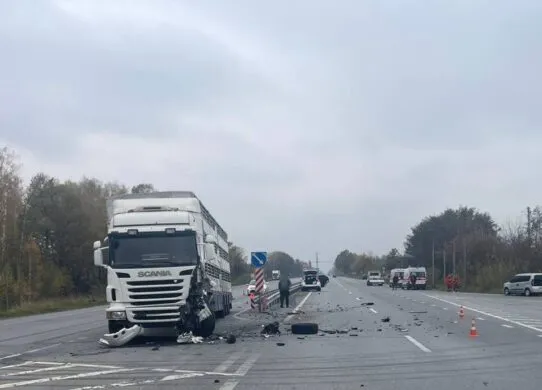 ДТП на трасі Житомирської області: є постраждалі, рух ускладнено