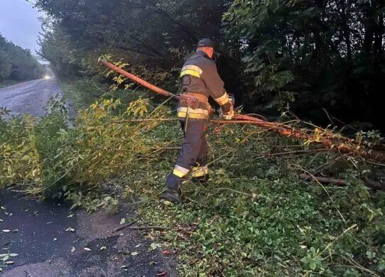 На Житомирщині автобус з пасажирами з'їхав у кювет