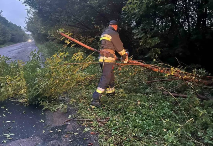 На Житомирщині автобус з пасажирами з'їхав у кювет