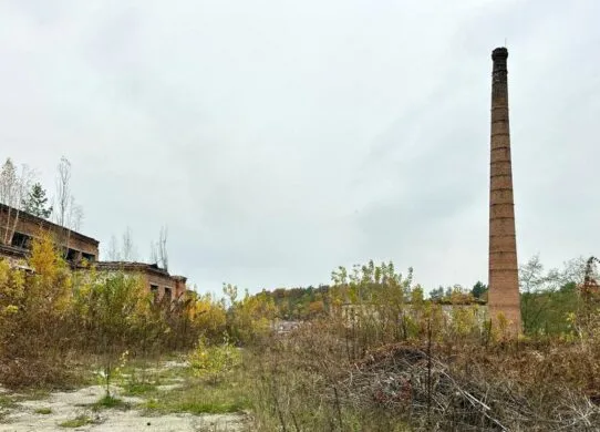 На Житомирщині 13-річний хлопчик впав з 10-метрової висоти