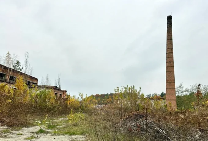 На Житомирщині 13-річний хлопчик впав з 10-метрової висоти