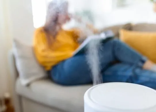 8 способів, щоб зволожити повітря в кімнаті в опалювальний сезон