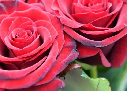 На війни загинув житомирянин, тіло якого повернули додому лише через 11 місяців