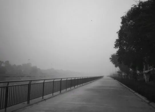 Дощ і туман: якою буде погода на вихідних у Житомирі?