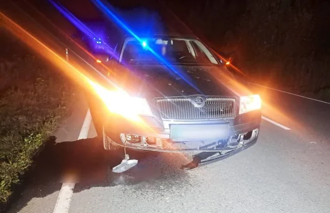 Внаслідок ДТП на Житомирщині загинув пішохід