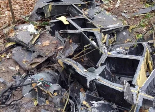 З лісу на Житомирщині евакуювали людей - що сталося?