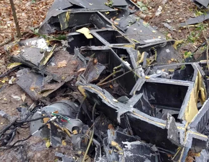 З лісу на Житомирщині евакуювали людей - що сталося?