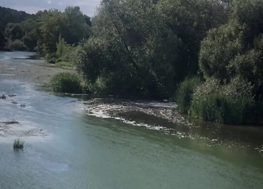 Судитимуть інженера Коростишівського водоканалу за забруднення річки Тетерів