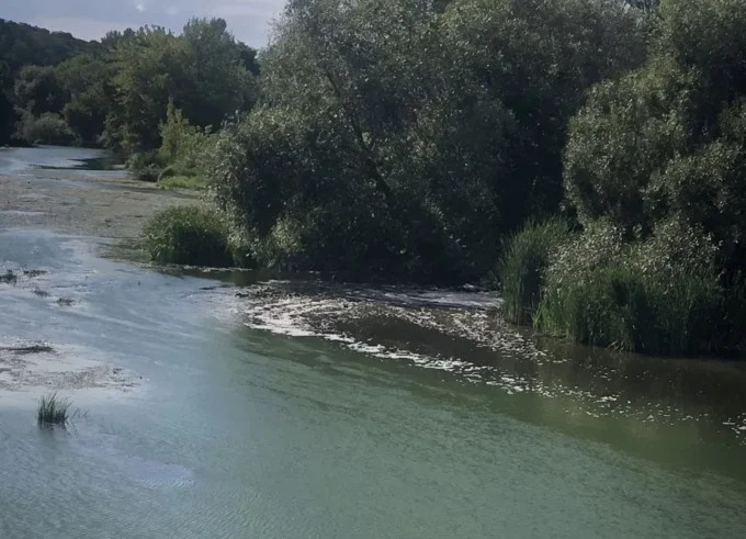 Судитимуть інженера Коростишівського водоканалу за забруднення річки Тетерів